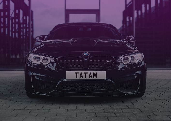 TP - Tatam BMW plate.jpg
