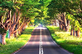 HD background images ·① Download free awesome HD wallpapers for desktop, mobile, laptop in