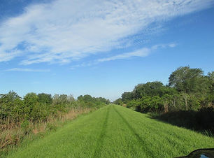 IMG_8627.jpg
