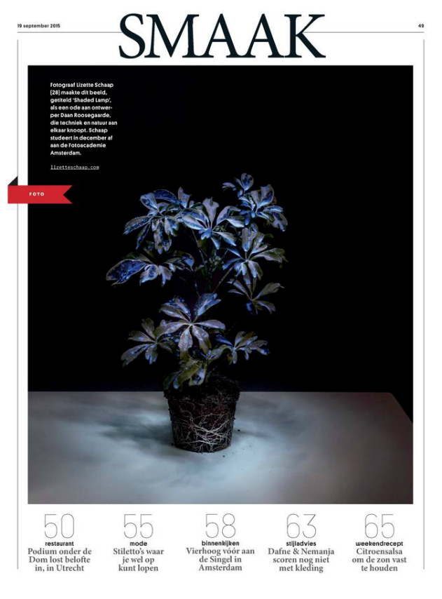 Volkskrant Magazine