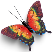 _Evolving Site Pics (2).png