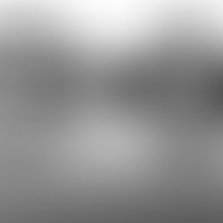 SIG Sauer: Shop the Range of Models at Razorback Armory