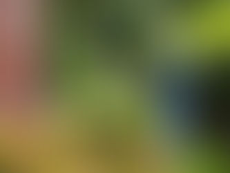 Falling for our FALL services!