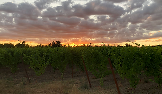 bellingar estates.PNG