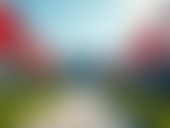 Discover Key Benefits of Global Education Consulting