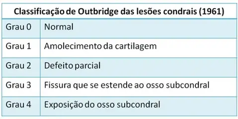 Lesão-condral-Outbridge-web.webp