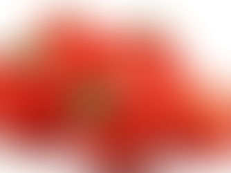 Foco, força e tomate!