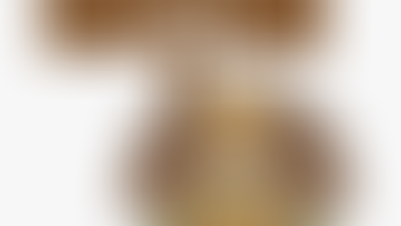 November 20th Newsletter