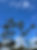 9745241B-0485-45B0-827D-CDB01944922A_1_105_c.jpeg