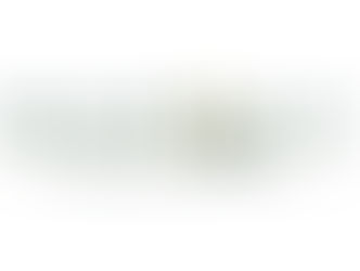 Magnolia Management Services — A Leader in Community Management