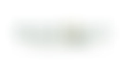 Magnolia Management Services — A Leader in Community Management