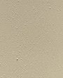Beige 01.JPG