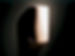 Large Cylinder Wall Sconce with Yucca Design