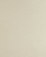 Navajo White Standard Color