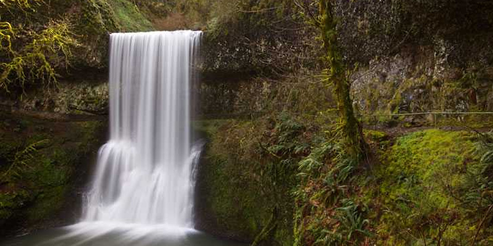 SILVER FALLS, OREGON - USA