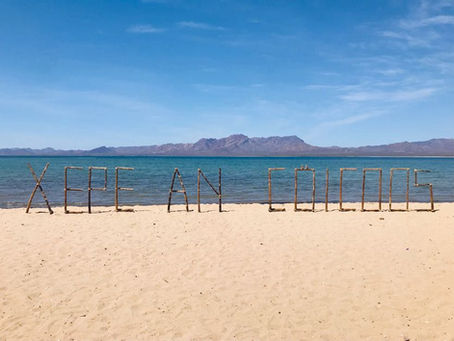 Que el mar no deje de cantar