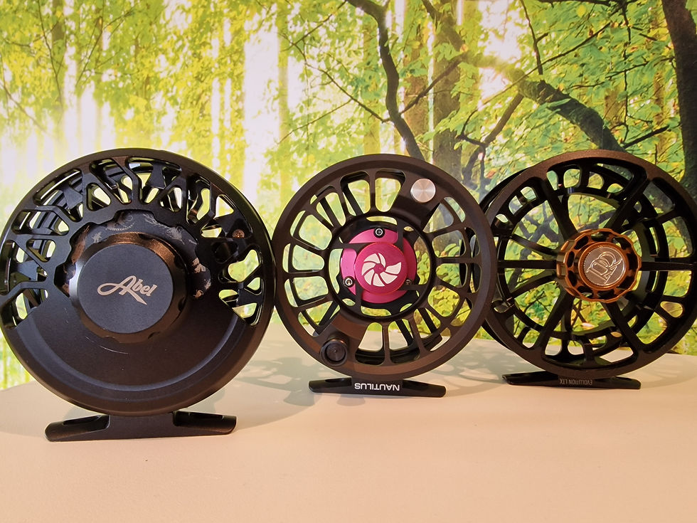 Reels fancy.jpg
