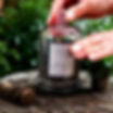 Thumbnail: Black Glass Cloche Candles