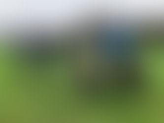 Jaarverslag voedselbos 2021