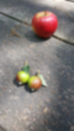 appeltjes zeer klein