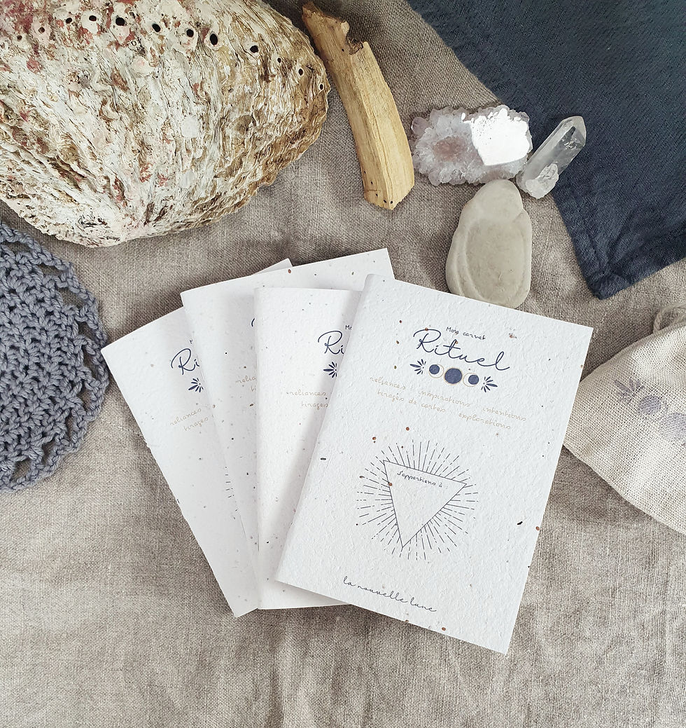 Miniature : Mon carnet Rituel