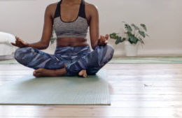 Healthy Harlem Guide