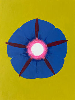 Flower Notes: Morning Glory