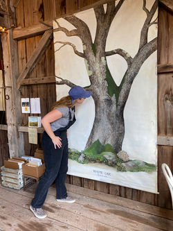 Hobart: Art in the Native Landscape