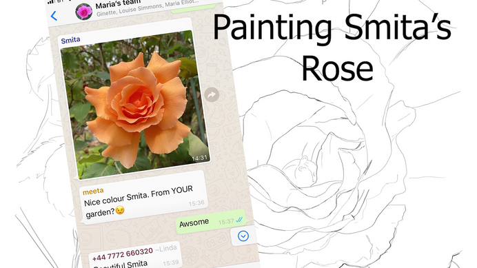 Watercolour Time Laps Rose - Painting Smita's Rose 