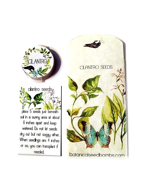 Thumbnail: Literary Gift for Poe Lovers, Herb Garden Plant Kit, For Him Her Christmas