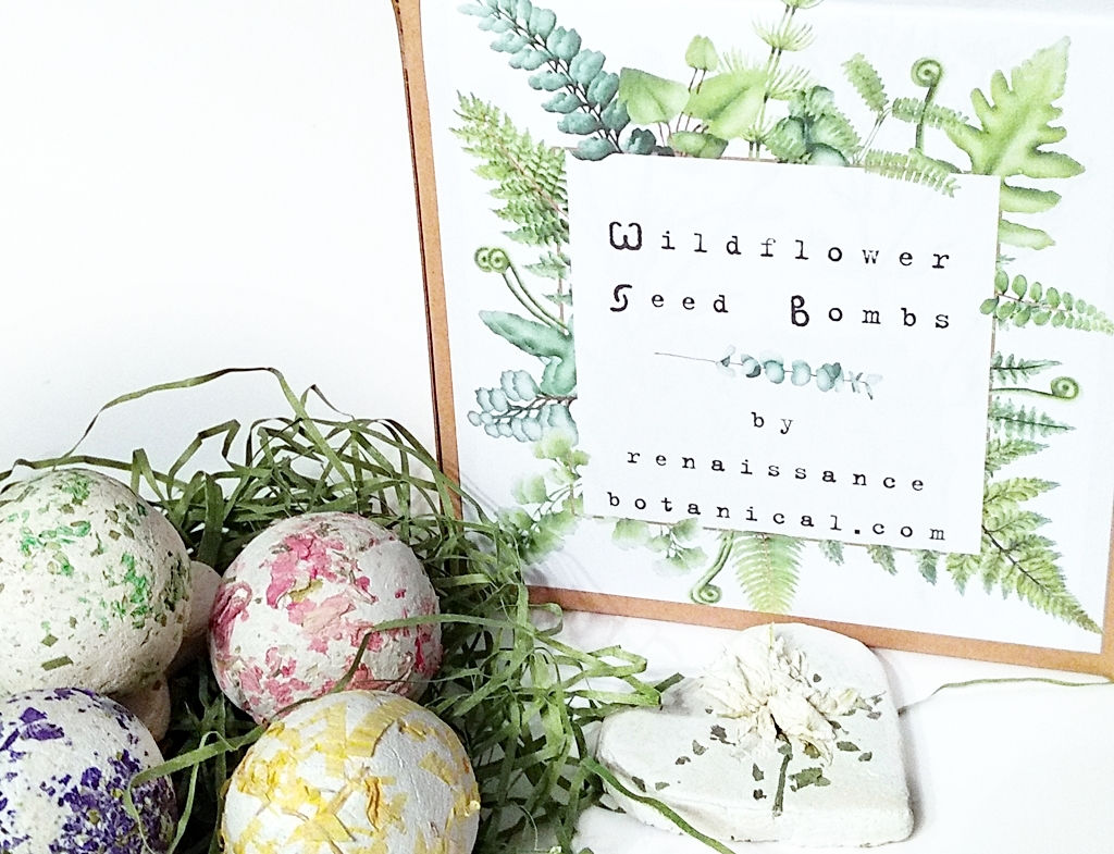 Candytuft Seed Bomb Kit, Planting, Gardening, Organic Garden, Flower Seeds