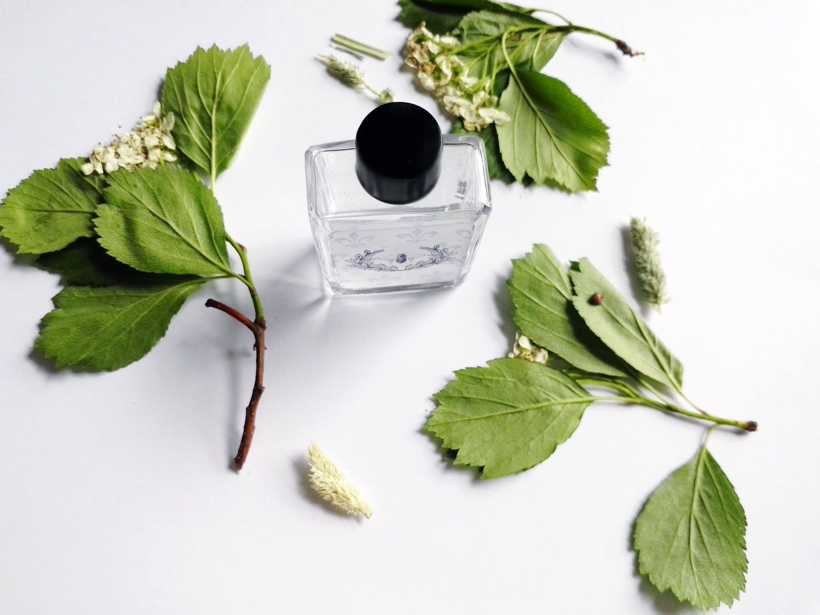 Nine Days in July Perfume oil, Lotus Champaca Flowers, Natural perfume 5 ml