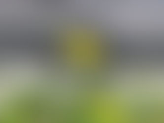 Hvilke farger passer sammen?