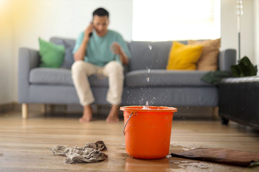 tenant putting in a service request for a leak in the ceiling