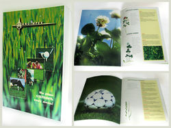 Верстка буклета для Groimpex