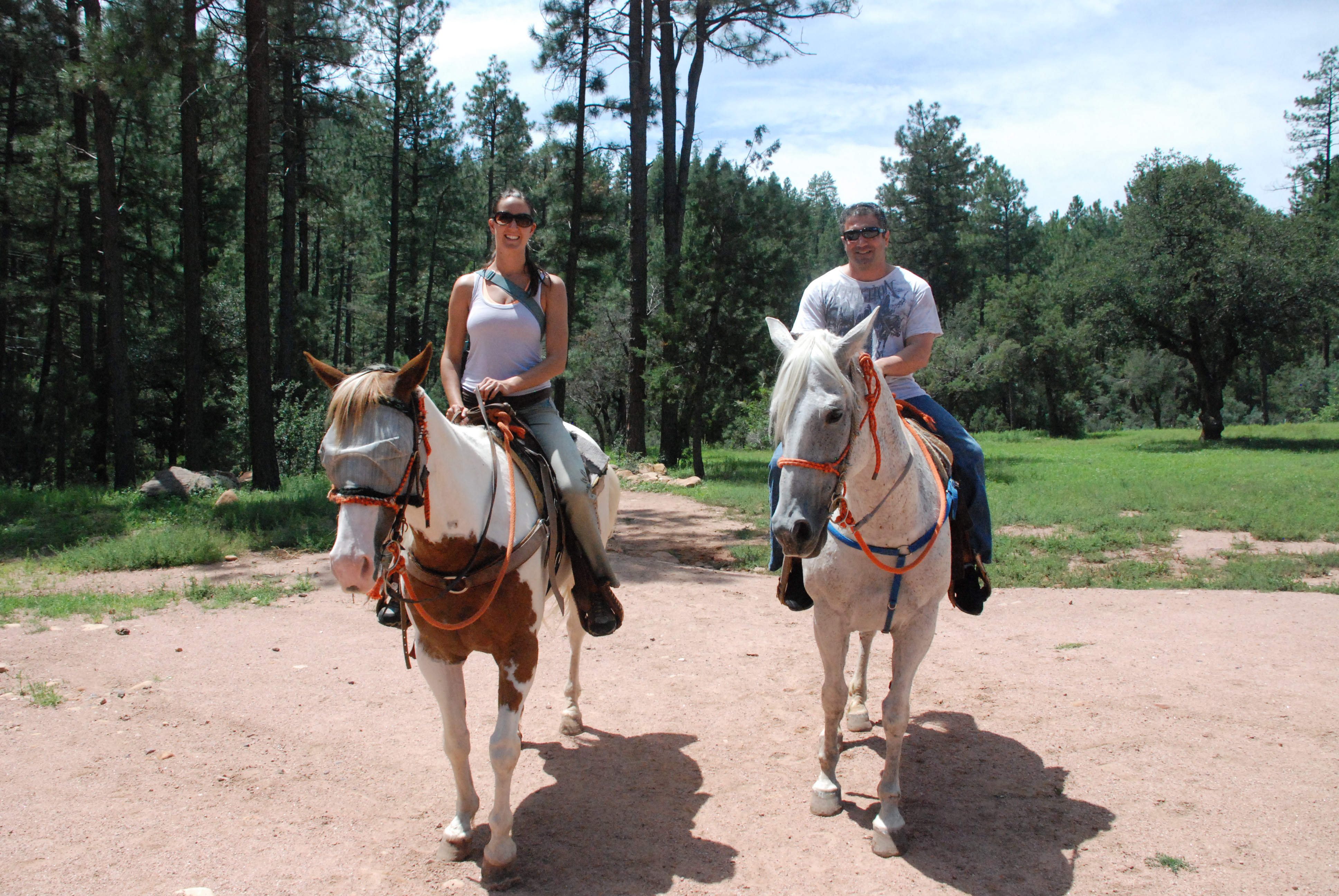 Discover Gila County Kohls Ranch, Arizona