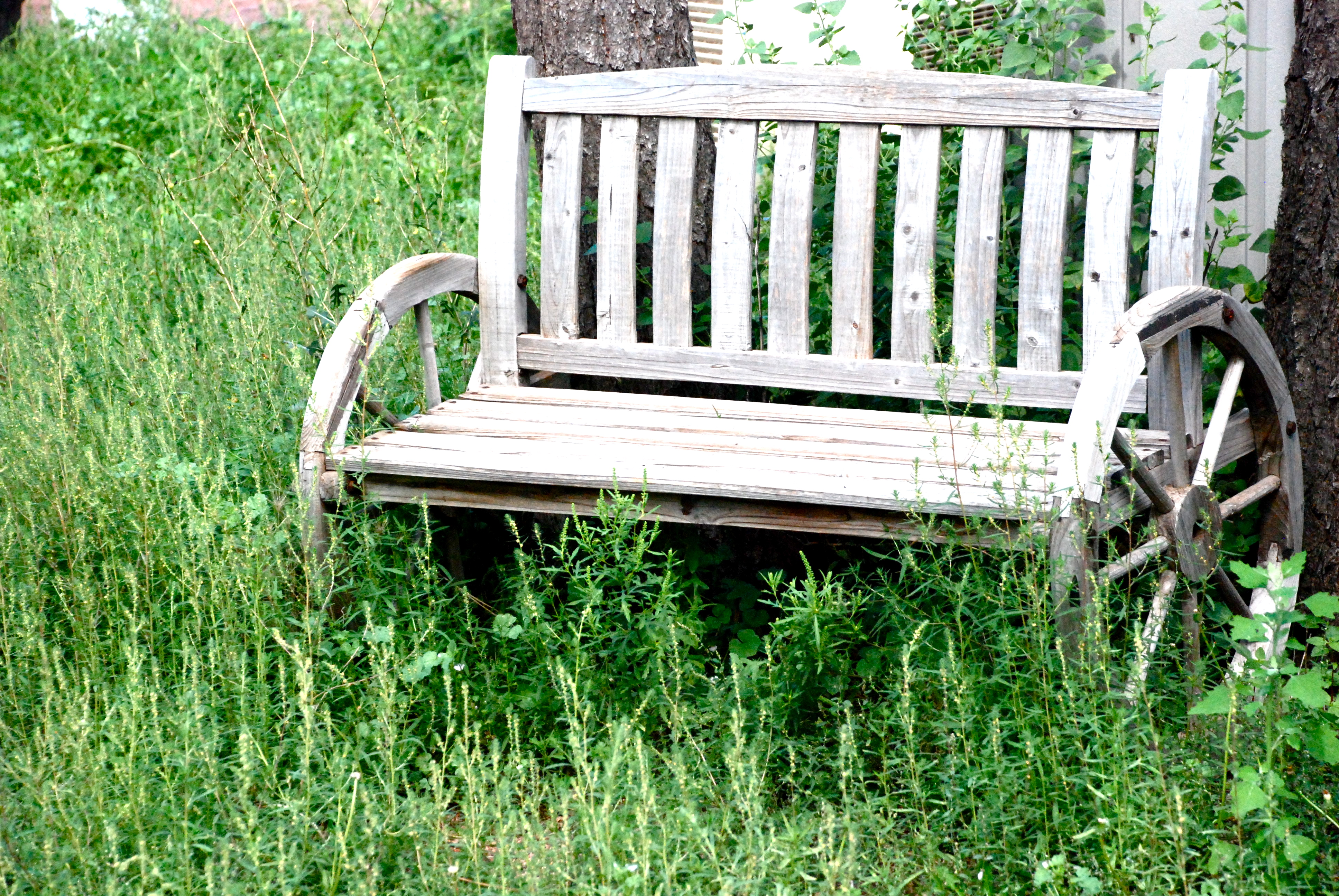 Discover Gila County Kohls Ranch, Arizona