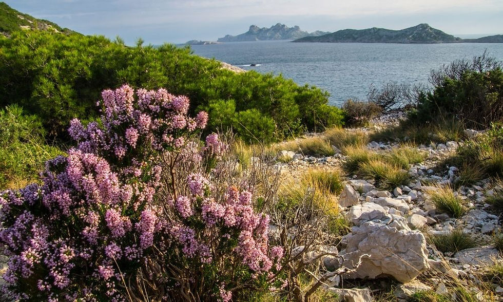 Calanques National Park