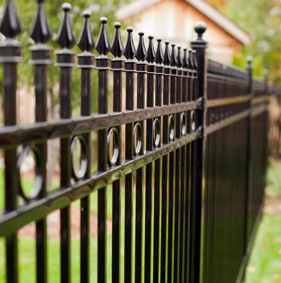 Elegant iron fence style Los Angeles