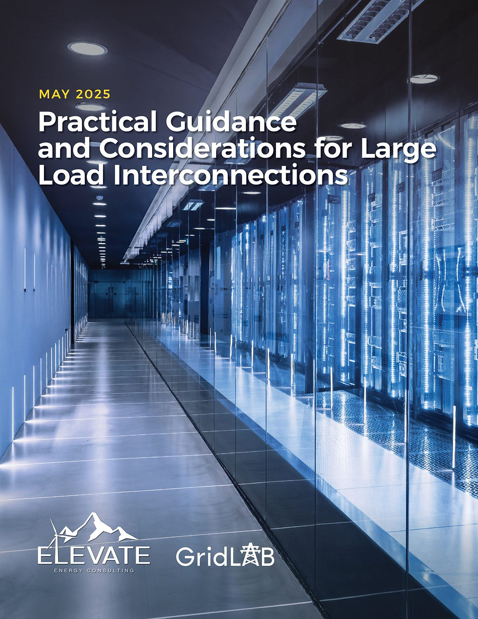 Practical Guidance and Considerations for Large Load Interconnections