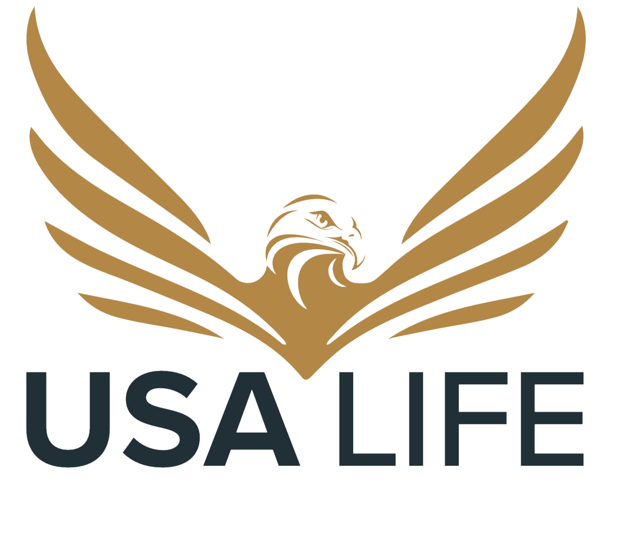 Welcome to USA Life Insurance