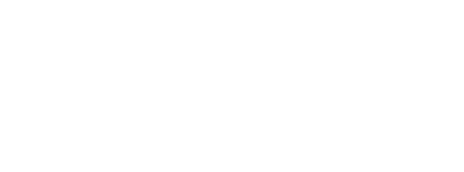 cyber-essentials-plus-logo white.png