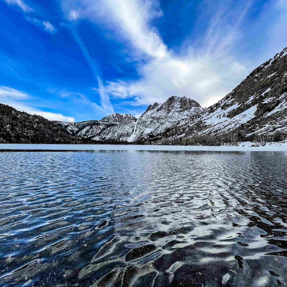Modern Gate and Fence Designs in Silver Lake