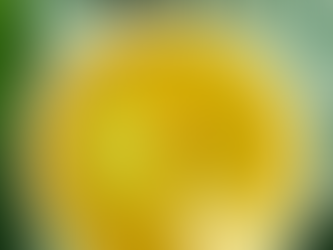 Velouté de poireaux, courgettes, patates douces