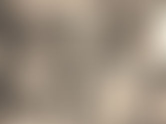 D'où vient la bûche de Noël ?