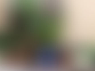 גינת מיכלים בהשראת הגינות המיוחדות של מרסיי