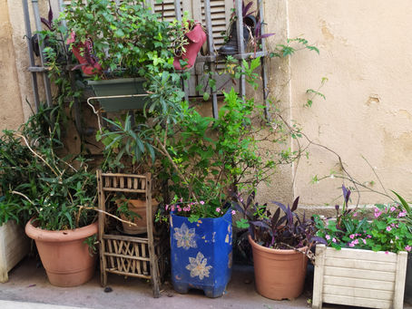 גינת מיכלים בהשראת הגינות המיוחדות של מרסיי