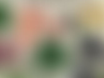 מוזיאון הצמחים - קייטי סקוט וקאת'י ויליס