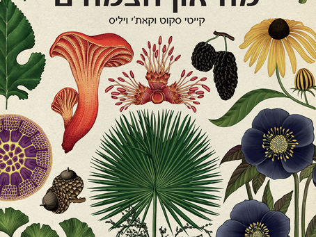 מוזיאון הצמחים - קייטי סקוט וקאת'י ויליס