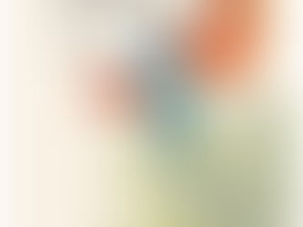 גינת בר - מאיר שלו